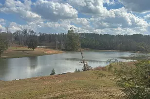 56 Fox Hollow Run, Newnan, GA 30263 - Photo 16