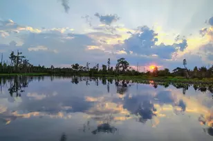 729 Hwy 441, Fargo, GA 31631 - Photo 24