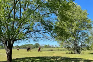 1051 Meadow Ln, Madison, GA 30650 - Photo 98