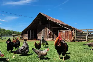 1051 Meadow Ln, Madison, GA 30650 - Photo 66