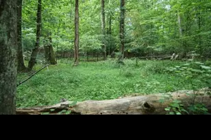 2877 Heather Row Ridge SW, Lilburn, GA 30047 - Photo 1