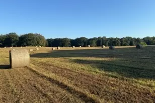 1191 Aderhold Rogers Rd, Commerce, GA 30530 - Photo 12