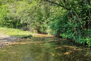 192 Misty Morning Dr, Blairsville, GA 30512 - Photo 50