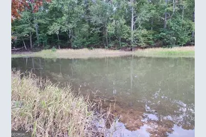 1039 Merganser Coves, Tignall, GA 30668 - Photo 6