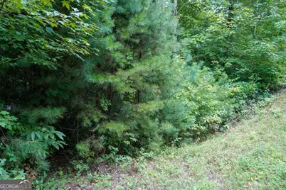 0 Heavenly Circle #36, Clayton, GA 30525 - Photo 8
