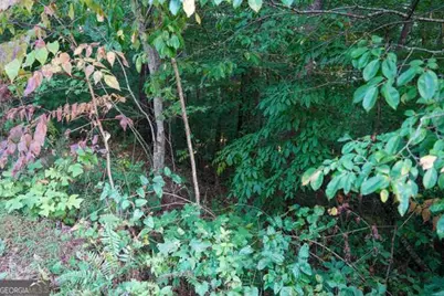 0 Bannockburn, Clayton, GA 30525 - Photo 10