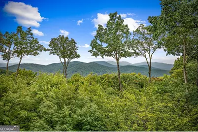 260 Huckleberry Hollow, Morganton, GA 30560 - Photo 38