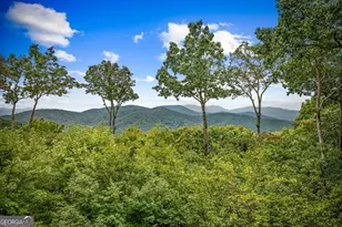 260 Huckleberry Holw, Morganton, GA 30560 - Photo 38