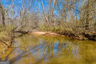 599 Double Branch Rd, Danielsville, GA 30633 - Photo 94