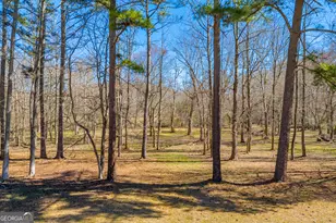 599 Double Branch Rd, Danielsville, GA 30633 - Photo 90