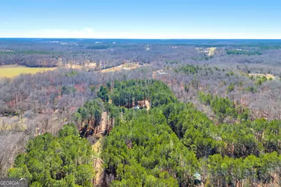 599 Double Branch Road, Danielsville, GA 30633 - Photo 74