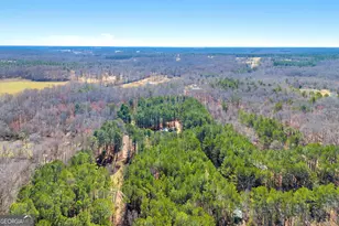 599 Double Branch Rd, Danielsville, GA 30633 - Photo 74