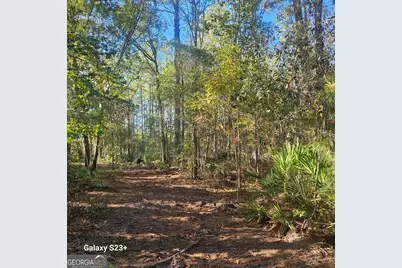 0 Highway 67, Pembroke, GA 31321 - Photo 2