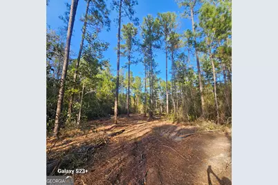 0 Highway 67, Pembroke, GA 31321 - Photo 4