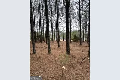 1707 Elberton Road, Lexington, GA 30648 - Photo 6