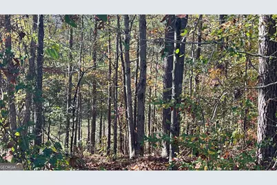 3412 Kinsley Court, Conyers, GA 30094 - Photo 16