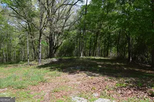 66 Topaz Ln, Royston, GA 30662 - Photo 22