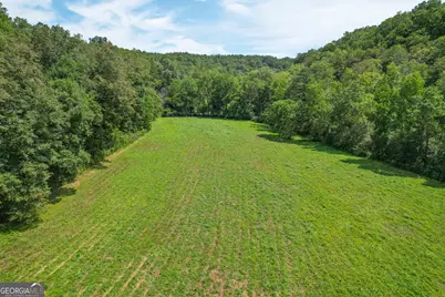 100 +/- Acres On Rambling Road, Fairmount, GA 30139 - Photo 30