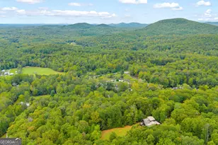 117 Foot Hills Dr, Cleveland, GA 30528 - Photo 54