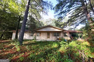 23481 N US Hwy 19 (7 46 Acres), Ochlocknee, GA 31773 - Photo 1