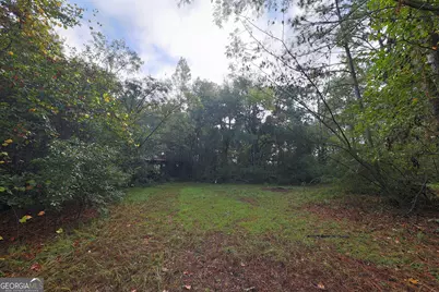 23481 N US Hwy 19 #(7.46 ACRES), Ochlocknee, GA 31773 - Photo 16