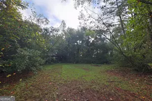 23481 N US Hwy 19, Ochlocknee, GA 31773 - Photo 16