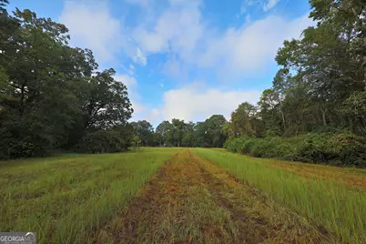 23481 N US Hwy 19, Ochlocknee, GA 31773 - Photo 16