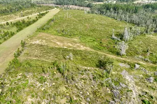 4281 Ga Hwy 46, Soperton, GA 30457 - Photo 8