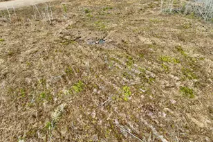 4281 Ga Hwy 46, Soperton, GA 30457 - Photo 66