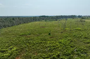 4281 Ga Hwy 46, Soperton, GA 30457 - Photo 42