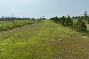 4281 Ga Hwy 46, Soperton, GA 30457 - Photo 40