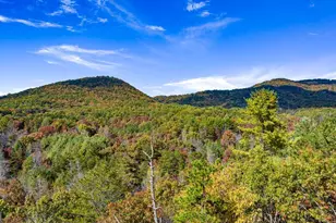 162 Fairy Cross Lane, Mineral Bluff, GA 30559 - Photo 46