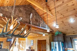 194 Squirrel Chase, Morganton, GA 30560 - Photo 92