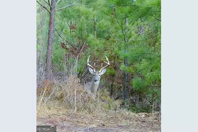 0313 W Lakeview Drive NE, Milledgeville, GA 31061 - Photo 8