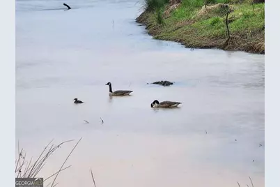 120 Bridgemill Drive, Hampton, GA 30228 - Photo 4