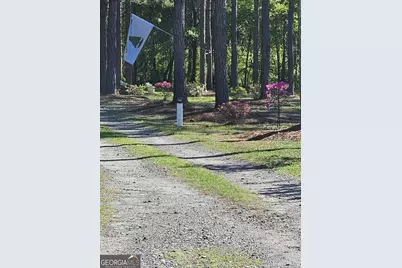 110 Bethel Village Road, Eastman, GA 31023 - Photo 18