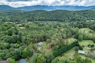 7450 Hooper Cove Rd, Young Harris, GA 30582 - Photo 68