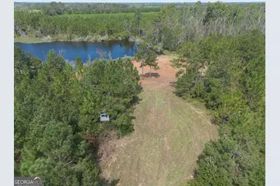 Tract 2 Rhonda Coleman Road, Hazlehurst, GA 31539 - Photo 6