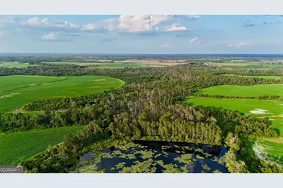 Tract 2 Rhonda Coleman Road, Hazlehurst, GA 31539 - Photo 12
