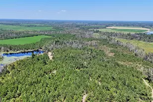 Tract 2 Rhonda Coleman Rd, Hazlehurst, GA 31539 - Photo 1