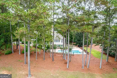 1001 Shoal Creek Court, Greensboro, GA 30642 - Photo 24