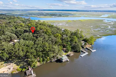 628 London Hill Road W, Woodbine, GA 31569 - Photo 2