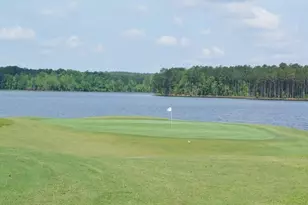 228 Terrane Ridge, Peachtree City, GA 30269 - Photo 76