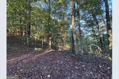 122 Adair Drive, Ranger, GA 30734 - Photo 2