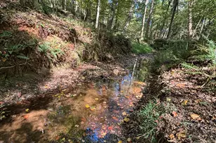 3170 Monticello Hwy Rd, Madison, GA 30650 - Photo 70