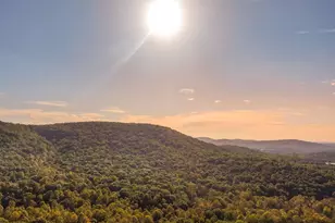 843 Fern Valley Rd, Ellijay, GA 30536 - Photo 12