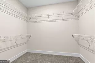 117 Black Birch Ln, Kathleen, GA 31047 - Photo 38