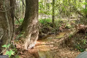 347 Finney Rd, Pine Mountain, GA 31822 - Photo 10