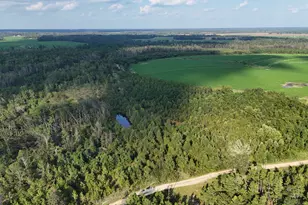 Tract 3 Rhonda Coleman Rd, Hazlehurst, GA 31539 - Photo 1