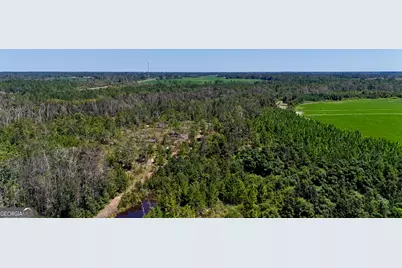 Tract 3 Rhonda Coleman Road, Hazlehurst, GA 31539 - Photo 6